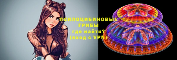 PSILOCYBIN Богданович
