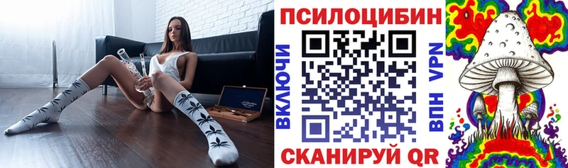 Псилоцибиновые грибы мицелий купить наркотики сайты Богучар